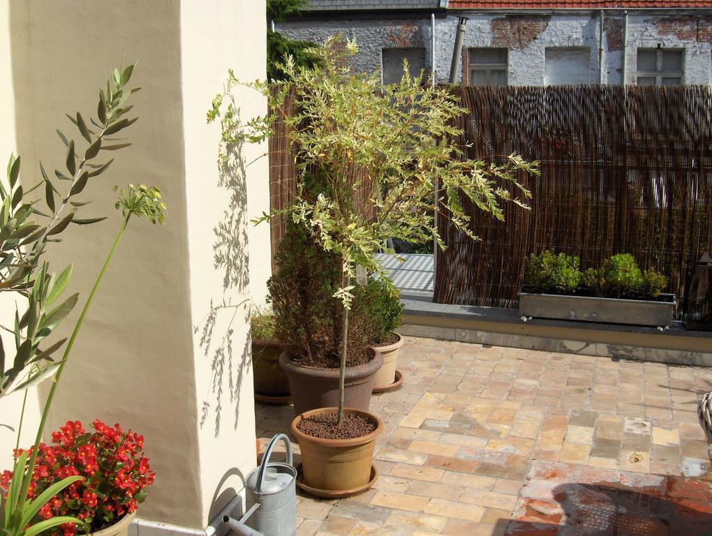 B&B De Lachende Engel Mechelen Pokoj fotografie